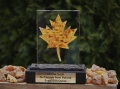 ambersea baltic amber gifts #TOGETHER Campaign - our gift for the Canada Pavilion_Moment15.jpg